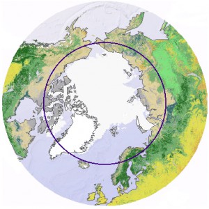 arctic_circle1